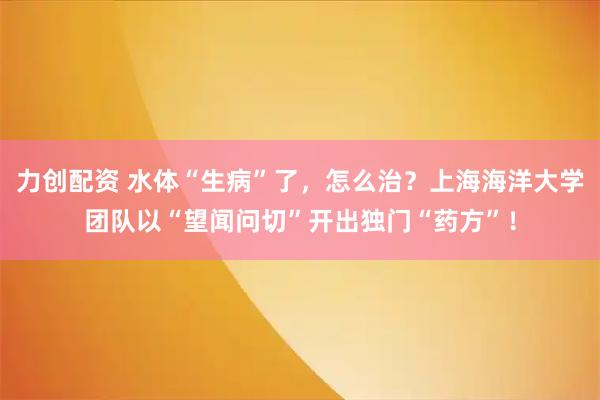 力创配资 水体“生病”了，怎么治？上海海洋大学团队以“望闻问切”开出独门“药方”！