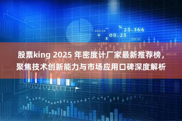 股票king 2025 年密度计厂家最新推荐榜，聚焦技术创新能力与市场应用口碑深度解析