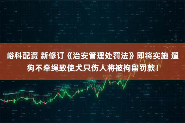 峪科配资 新修订《治安管理处罚法》即将实施 遛狗不牵绳致使犬只伤人将被拘留罚款！