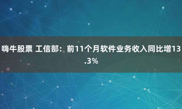 嗨牛股票 工信部：前11个月软件业务收入同比增13.3%