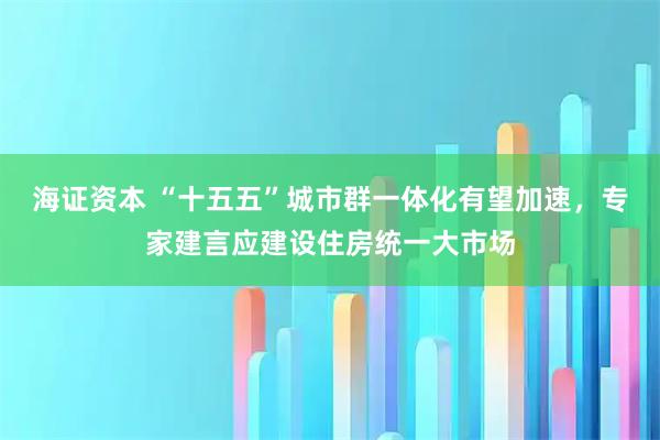 海证资本 “十五五”城市群一体化有望加速，专家建言应建设住房统一大市场