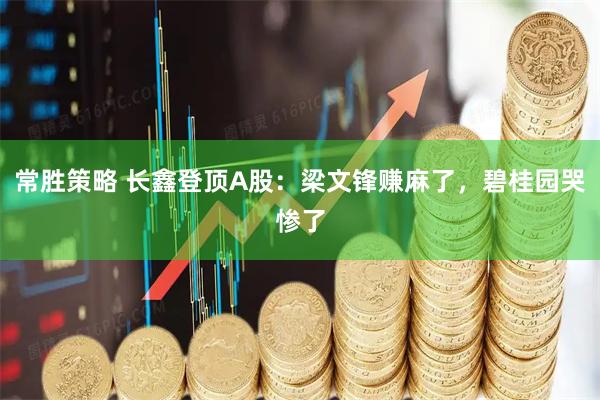 常胜策略 长鑫登顶A股：梁文锋赚麻了，碧桂园哭惨了